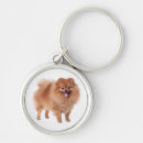 Search for pom dog key rings Dogs