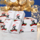 Search for sarcastic wrapping paper Cat