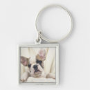 Search for often key rings Dog