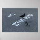 Search for magpie posters Black