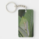 Search for green caterpillar key rings Insect