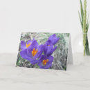 Search for easter mothers day cards Floral