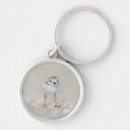 Search for long key rings Bird