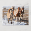 Search for mixed breed cards invites Farm