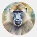 Search for baboons stickers Wildlife