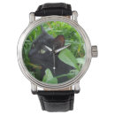 Search for black cat watches Photography