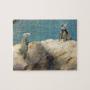 Search for wildlife photography puzzles Animal