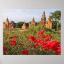 Search for myanmar posters Steve roxbury
