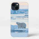 Search for polar bears iphone cases Ice