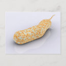 Search for bacteria postcards Colour image