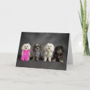 Search for panting cards Puppy