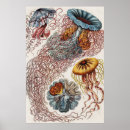 Search for life sciences art Nature