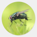 Search for flying insect stickers Funny