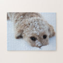 Search for goldendoodle puzzles Mix breed