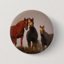 Search for arabe badges Sunset