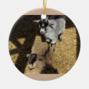 Search for baby goat christmas tree decorations Goats