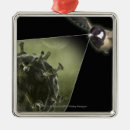Search for avian christmas tree decorations Illustration