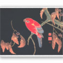Search for parrot art stickers Wildlife
