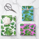 Search for monstera wrapping paper Nature