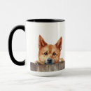 Search for spitz mugs Cute