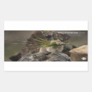 Search for documentary stickers Cbc