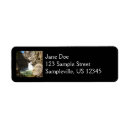Search for kings return address labels Nature