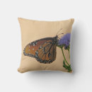 Search for orange butterfly cushions Beautiful
