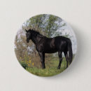 Search for thoroughbred badges Horse