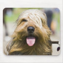 Search for show dog mousepads Panting
