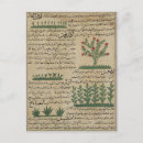 Search for arabic text postcards 14th