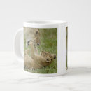 Search for lion cub mugs Cute