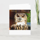 Search for animals big eyes cards Owl