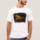 Search for 06 tshirts 16th