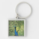 Search for display key rings Feather