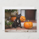 Search for french bulldog thank you cards Young animal