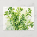 Search for crisp postcards Vegetable
