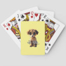 Search for puppy playing cards Friend