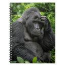 Search for habitat notebooks Jungle