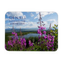 Search for wonder magnets Souvenir