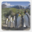 Search for st andrew stickers Blue