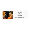 Search for witch cat return address labels Autumn