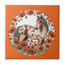 Search for appy Appaloosa