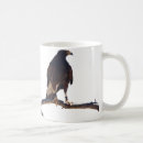 Search for harris hawk mugs Hawks