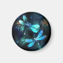 Search for dragonfly magnets Dragonflies