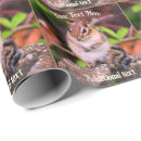 Search for chipmunk wrapping paper Animal