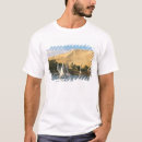 Search for aswan clothing Felucca
