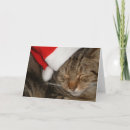 Search for kitties christmas cards Festive