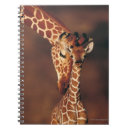 Search for giraffa Vertical