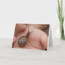 Search for snail birthday cards Boy