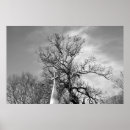 Search for alone posters Nature